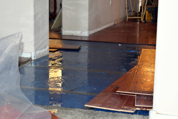 Professional Flood Damage Restoration technician working in Riverdale, UT
